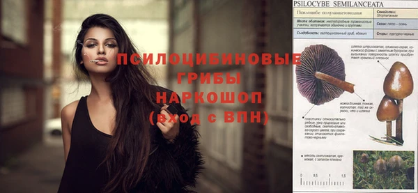 spice Абинск
