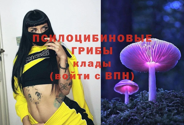гидропоника Абдулино
