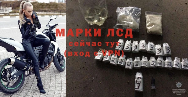 гашик Алексин