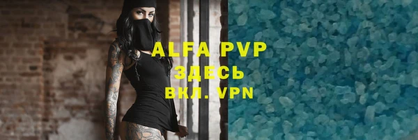 крисы Абаза