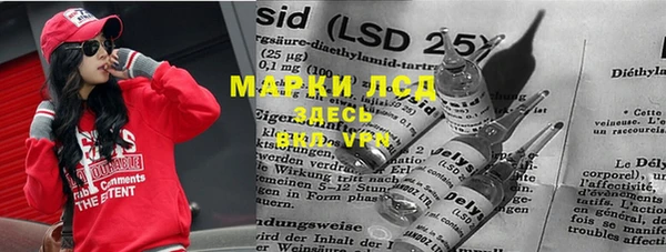 крисы Абаза