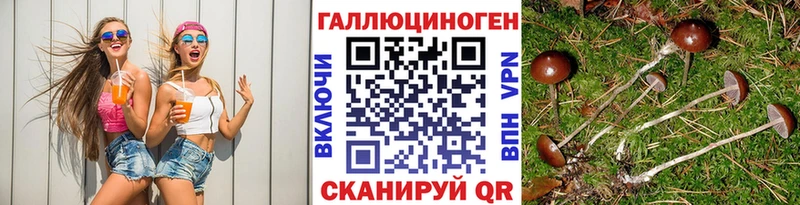 блэк спрут зеркало  Ухта  маркетплейс формула  Псилоцибиновые грибы Magic Shrooms 